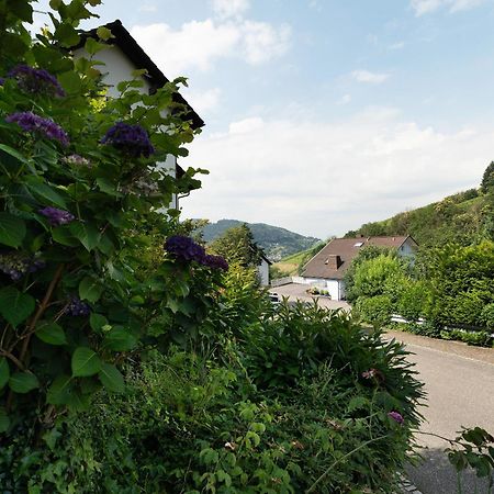 Ferienwohnung Wintereck Bühlertal Εξωτερικό φωτογραφία
