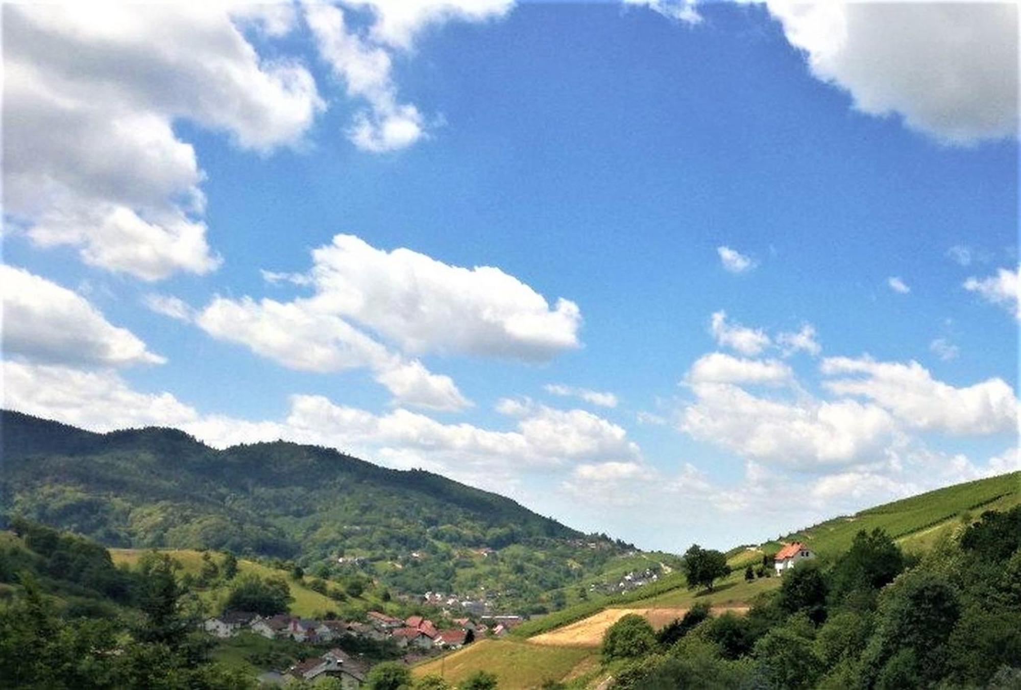 Ferienwohnung Wintereck Bühlertal Εξωτερικό φωτογραφία