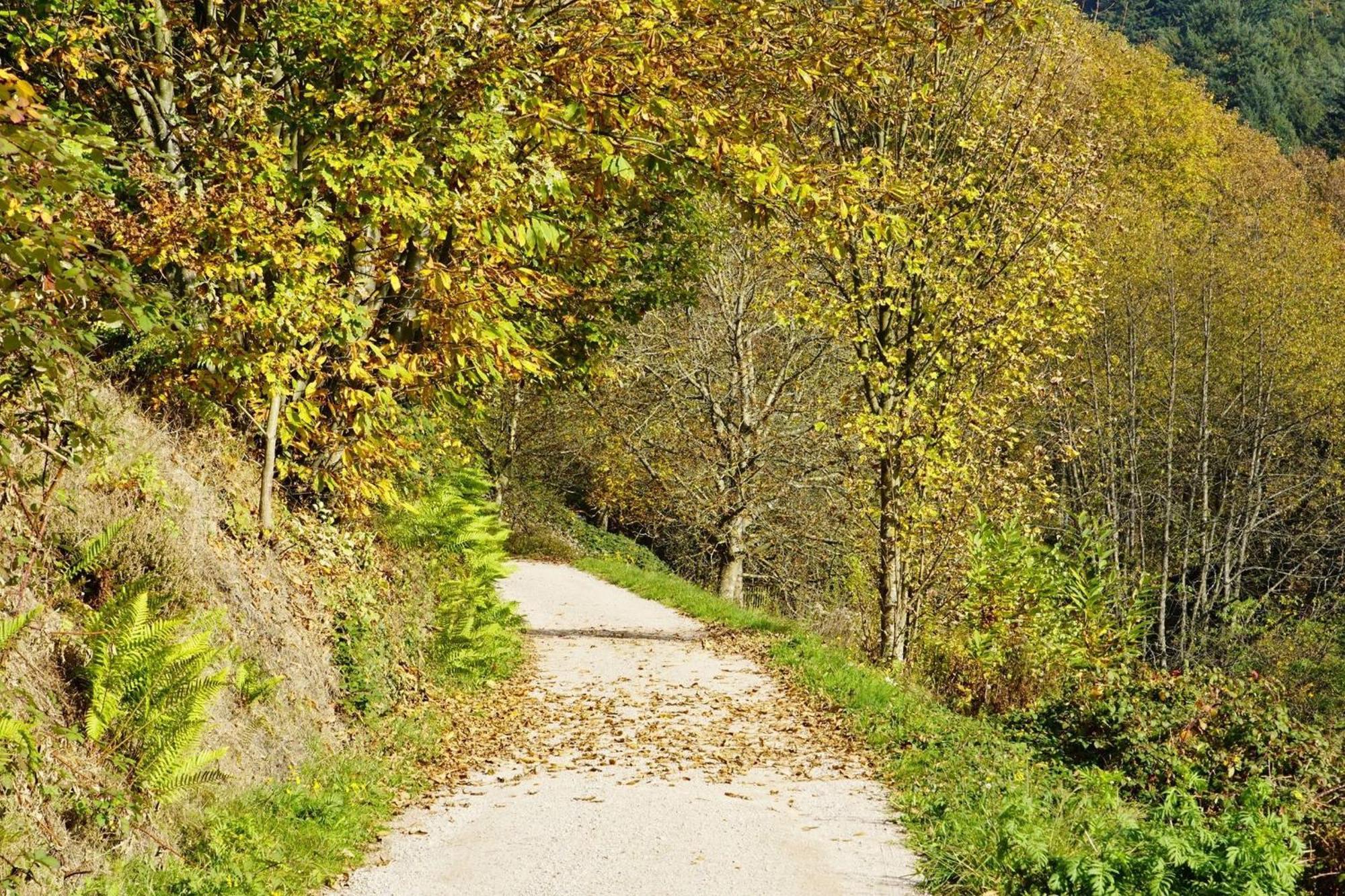 Ferienwohnung Wintereck Bühlertal Εξωτερικό φωτογραφία