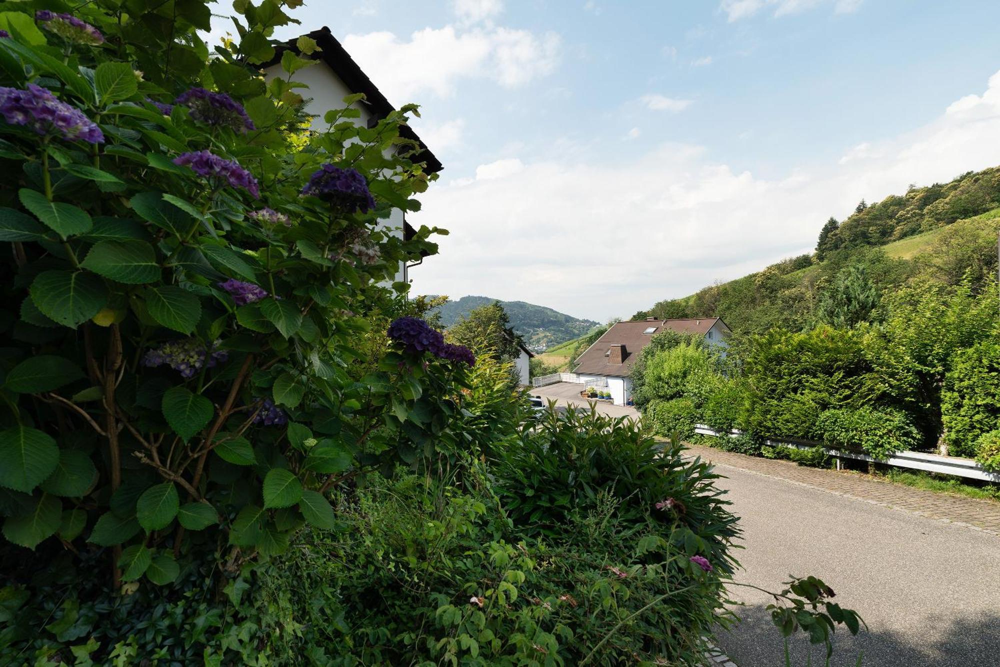 Ferienwohnung Wintereck Bühlertal Εξωτερικό φωτογραφία