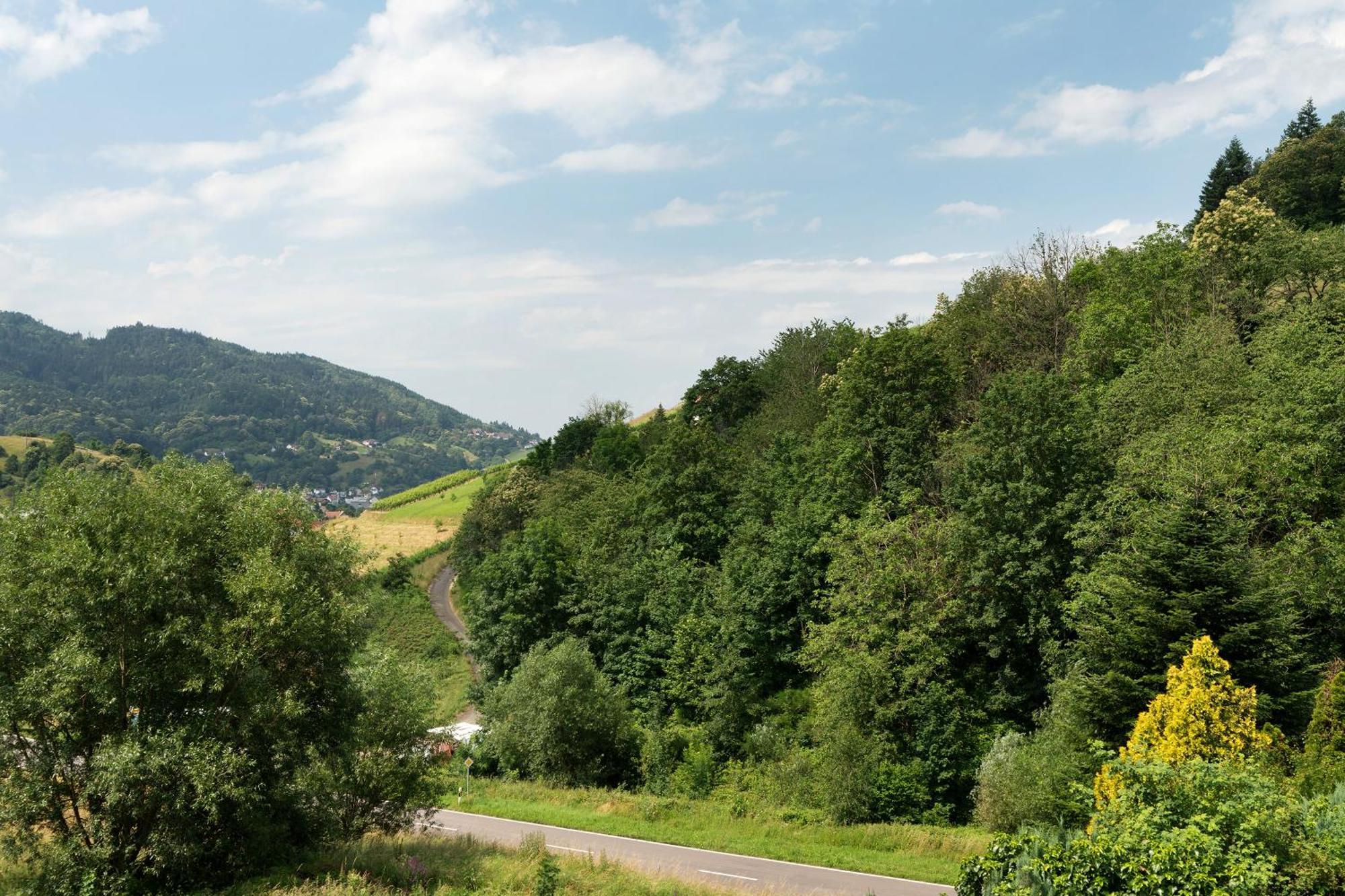 Ferienwohnung Wintereck Bühlertal Εξωτερικό φωτογραφία