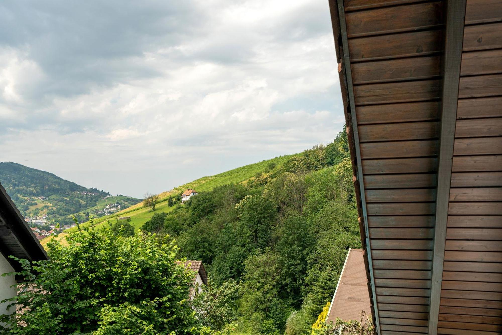 Ferienwohnung Wintereck Bühlertal Εξωτερικό φωτογραφία